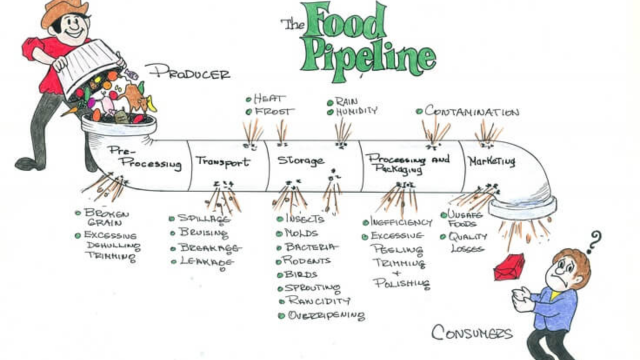 An infographic titled 'The Food Pipeline' that visually explains how food is lost and wasted at every stage, from the producer to the consumer.