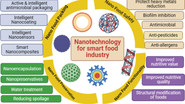 A scientific infographic explaining the role of nanotechnology in the smart food industry, covering areas like food safety, packing, and preservation.