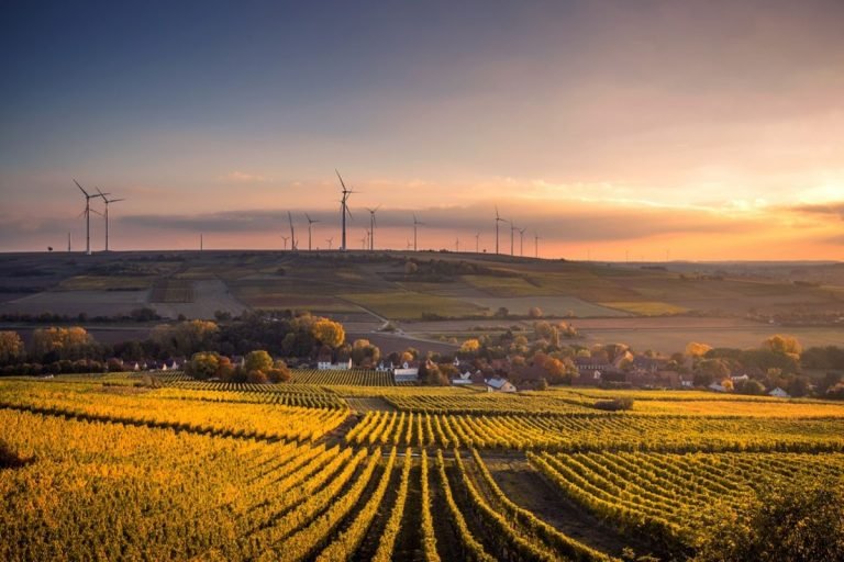 A scenic landscape of vineyards and wind turbines at sunset, showcasing the renewable energy goals championed by Earth5R Waste Management Sustainability NGO Mumbai ESG CSR.
