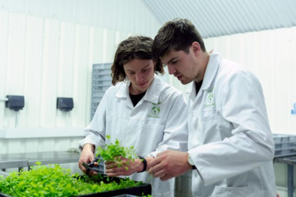 Two agricultural scientists in white lab coats closely examine plant saplings in a modern research facility.