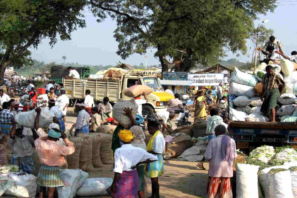 Local farmers and workers loading fresh produce at a vibrant rural marketplace, showcasing Earth5R’s community-based sustainable tourism and circular economy initiatives led by its Sustainability NGO in Mumbai focusing on Waste Management, ESG, and CSR.