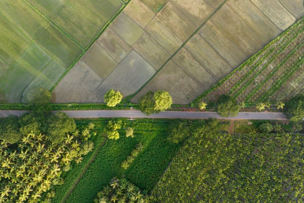 An aerial drone shot of a lush rural landscape in India, showing a road separating diverse, sustainable agricultural fields and coconut groves.