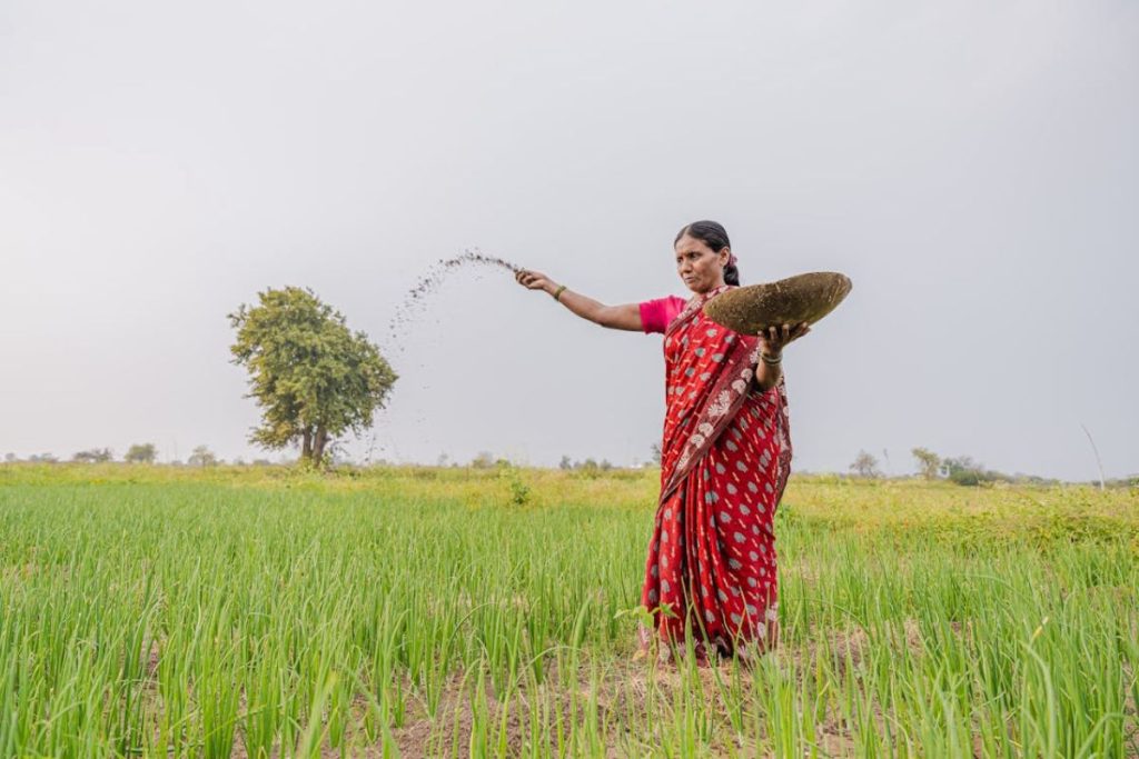An Indian woman farmer in a red saree stands in a vibrant green field, scattering dark, organic compost by hand to naturally fertilize the soil.