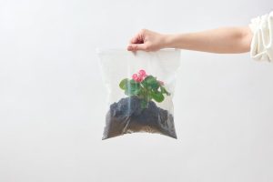 A symbolic image of a plant growing inside a plastic bag, representing the conflict between nature and plastic pollution, an issue central to the mission of Earth5R, a sustainability NGO in Mumbai.
