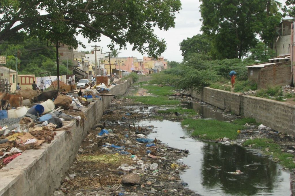An urban drain in India, heavily polluted with plastic garbage, solid waste, and debris, with cows standing among the trash on the concrete bank.
