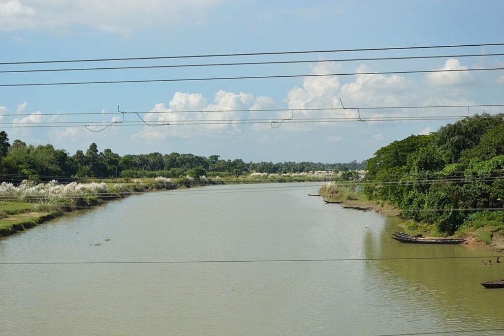 A wide, murky river in India, likely the Ganga, with green banks, white Kaash flowers, and power lines overhead, showing silt and dissolved pollution.