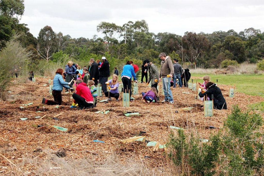 A community of volunteers, including adults and children, planting tree saplings in a field as part of a local environmental project.