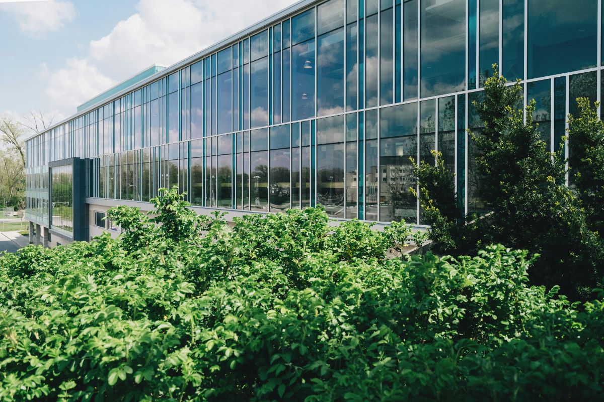 Modern glass corporate headquarters building with lush green bushes and trees, reflecting blue sky.