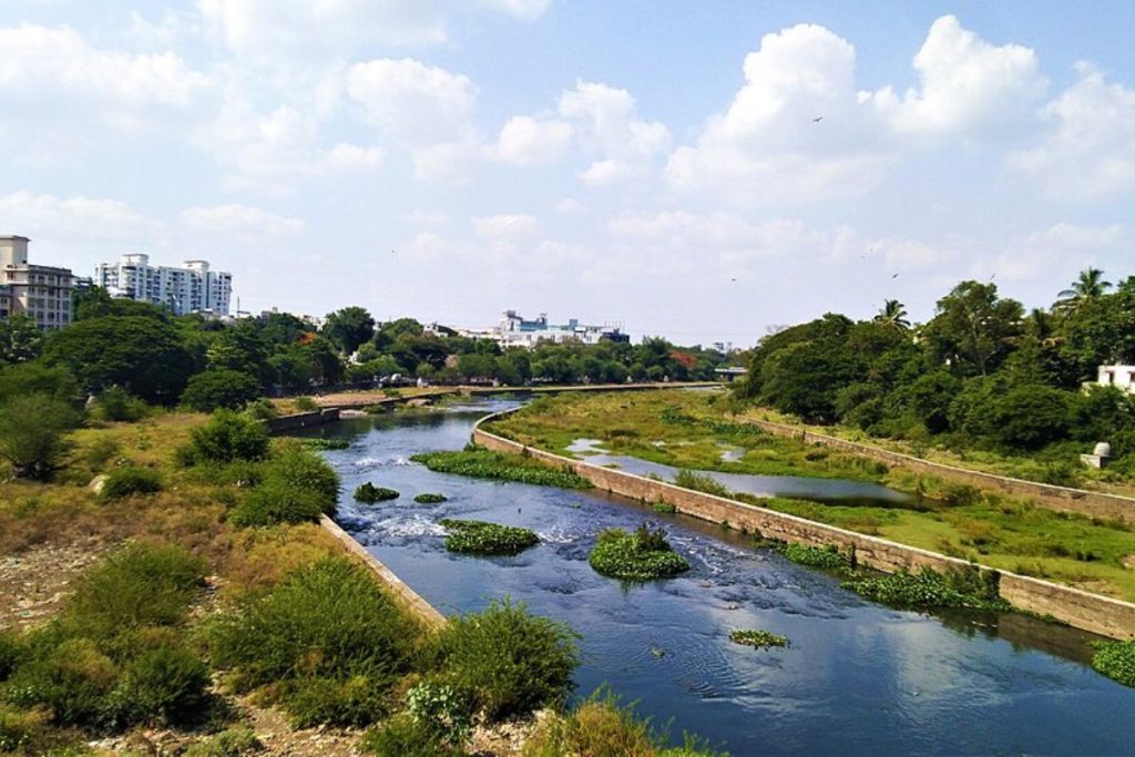 A view of an urban river in Mumbai with greener, channelized banks and city buildings in the distance, showing the potential for environmental recovery and urban sustainability.