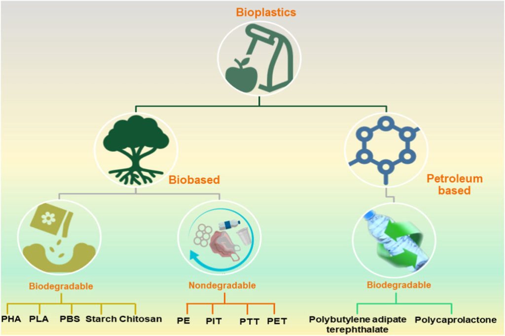 Infographic showing types of bioplastics—bio-based and petroleum-based—highlighting biodegradable and non-degradable polymers, supporting Earth5R Mumbai’s sustainability, waste management, ESG, and CSR awareness initiatives.