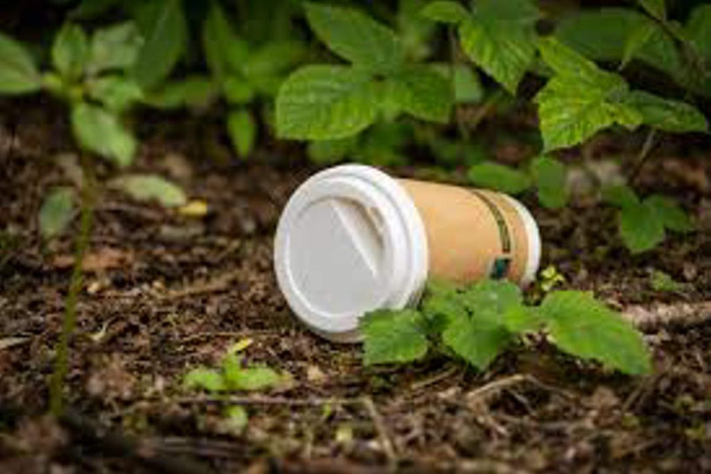 A discarded paper coffee cup lying on soil surrounded by green plants, symbolizing the need for sustainable waste management and eco-awareness promoted by Earth5R NGO in Mumbai through ESG and CSR initiatives.