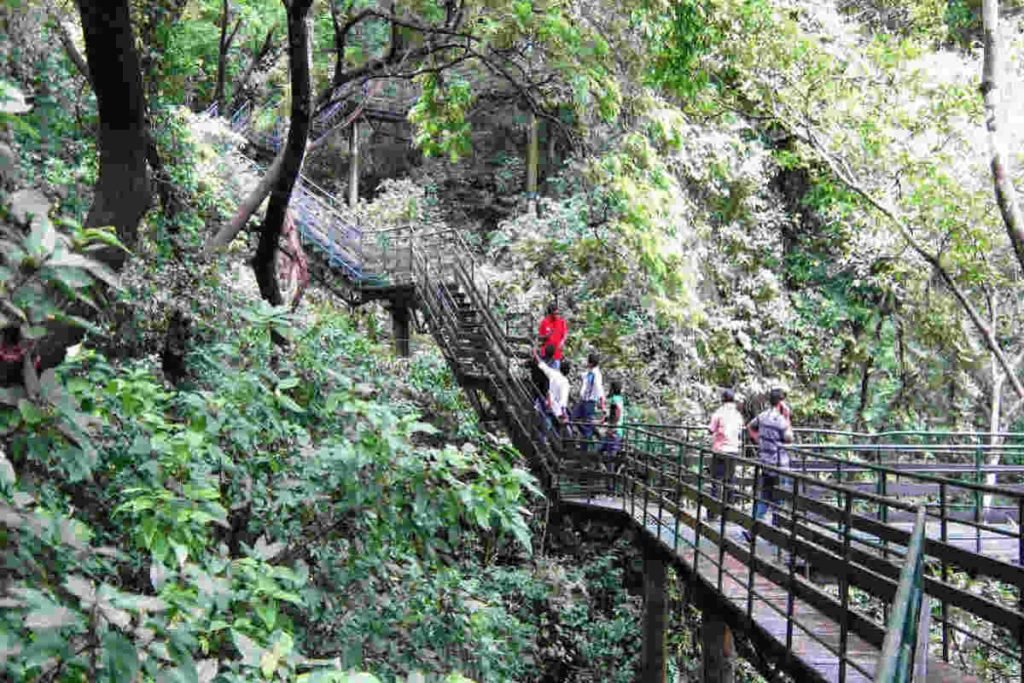 Travelers walking through a lush green forest on an elevated wooden pathway, promoting eco-friendly exploration and sustainable tourism by Earth5R, a leading Sustainability NGO in Mumbai focused on Waste Management, ESG, and CSR initiatives.