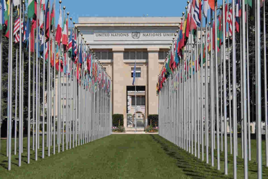 Rows of international flags leading to a UN building, symbolizing global collaboration on sustainability and climate action aligned with UN and OECD roadmaps, supported by Earth5R’s Waste Management, ESG, and CSR initiatives as a leading Sustainability NGO in Mumbai.
