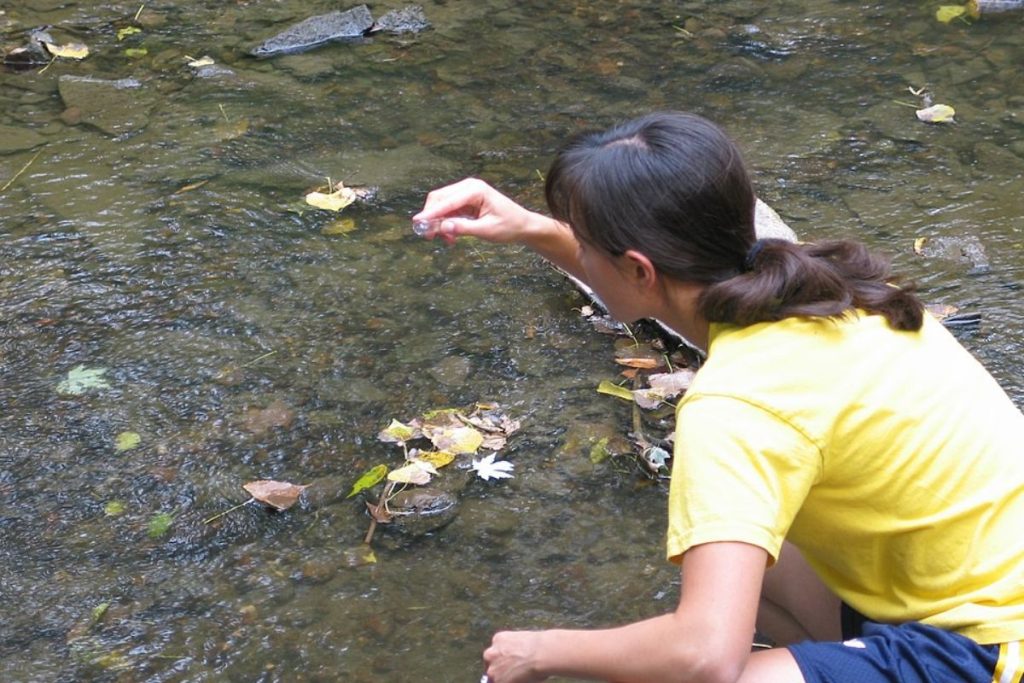 A researcher in a yellow shirt kneels by a stream to collect a river water sample in a small vial.