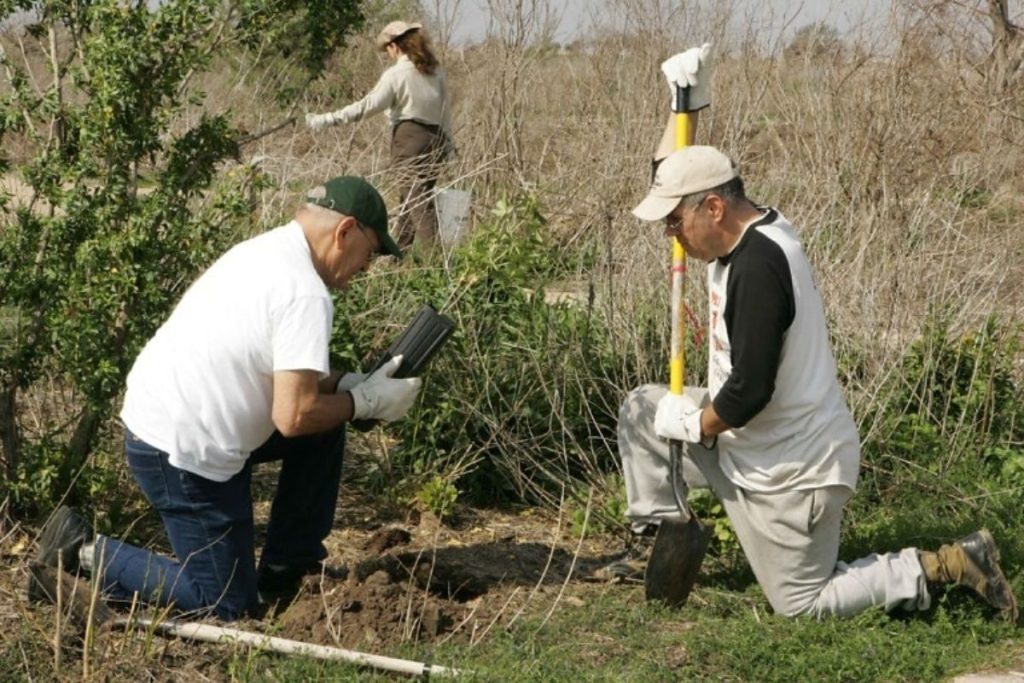 Volunteers kneel in a field, planting young trees as part of a hands-on community engagement project, showing employee-driven sustainability in action.