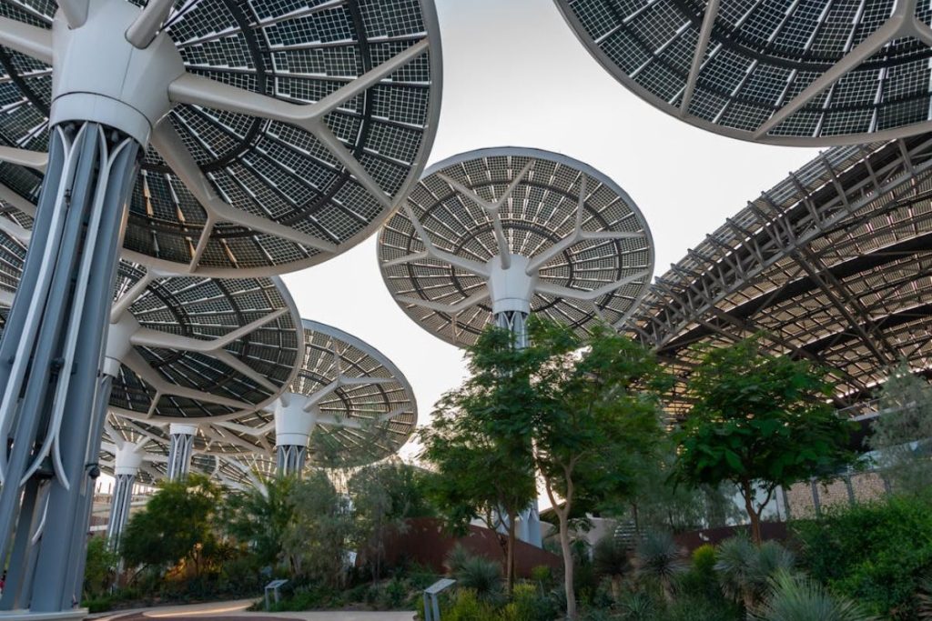 Large, futuristic, tree-shaped structures covered in solar panels create a canopy over a green walkway, showcasing innovation in sustainable infrastructure and renewable energy.