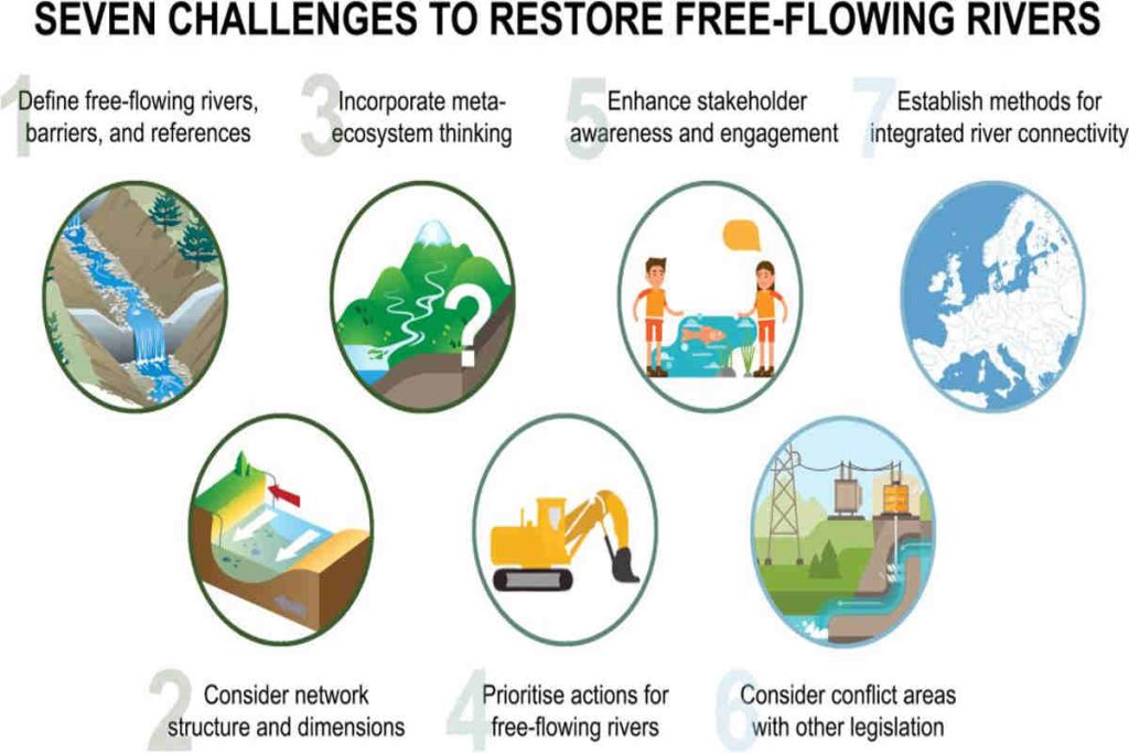 Infographic showing seven challenges to restore free-flowing rivers, illustrated with icons representing river barriers, ecosystem networks, meta-ecosystem thinking, restoration priorities, stakeholder engagement, legislative conflicts, and river connectivity.