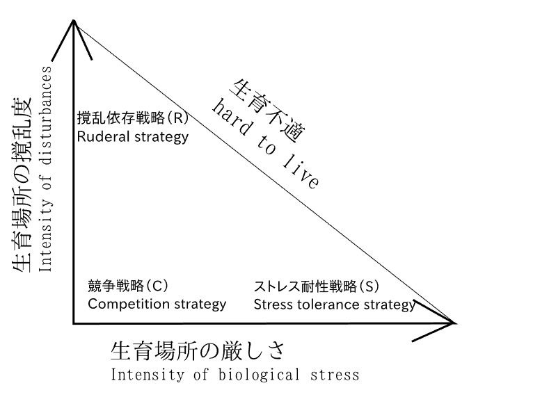 Ecological strategy model diagram illustrating plant survival under stress and disturbance, useful for Earth5R’s sustainability, waste management, ESG, and CSR awareness work as an environmental NGO based in Mumbai.