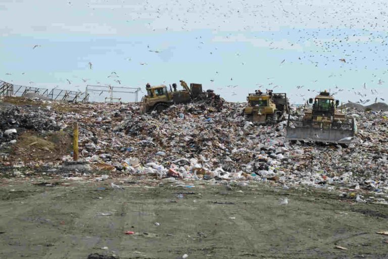 Circular Economy Earth5R Waste Management Sustainability NGO Mumbai ESG CSR India Mumbai