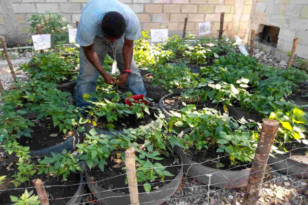 Man cultivating plants in upcycled containers showing Earth5R NGO’s sustainable Waste Management and CSR initiative.