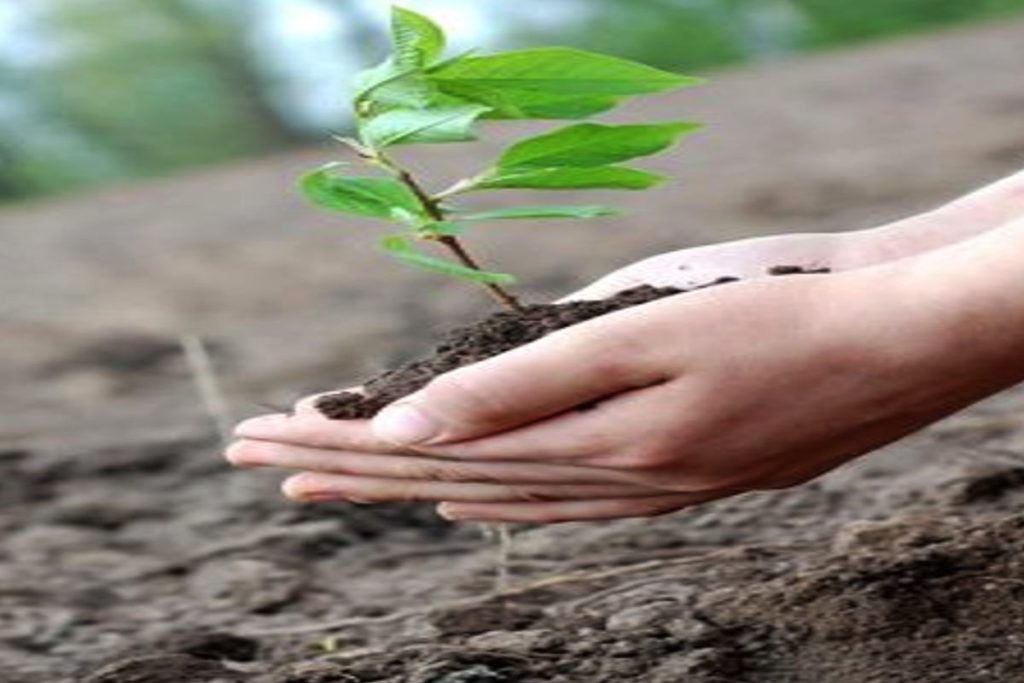 Hands planting a young sapling in soil, symbolising Earth5R’s sustainability, CSR, ESG, and waste management initiatives led by the Mumbai-based environmental NGO.