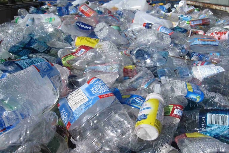 Plastic waste bottles collected for recycling as part of Earth5R’s sustainability-driven waste management initiative in Mumbai, highlighting NGO-led ESG and CSR participation.