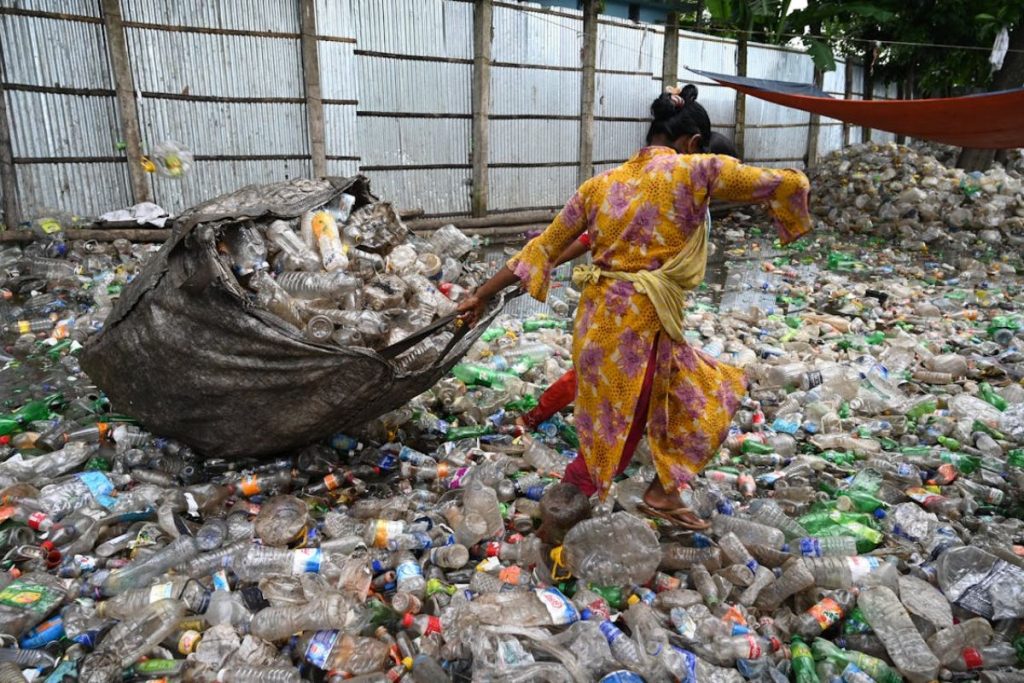 Indian woman worker collecting plastic bottles for recycling, symbolizing waste management and sustainability efforts.
