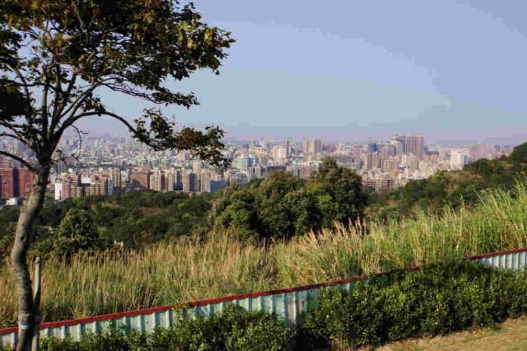 Urban Developnment Environmental organisation India Earth5R sustainability waste management river cleaning CSR ESG The Invisible Cost of Dirty Rivers on Urban Real Estate: An Earth5R Urban Policy View-8 CSR Trends Defining the Future of Green Business in India: An Earth5R Insight