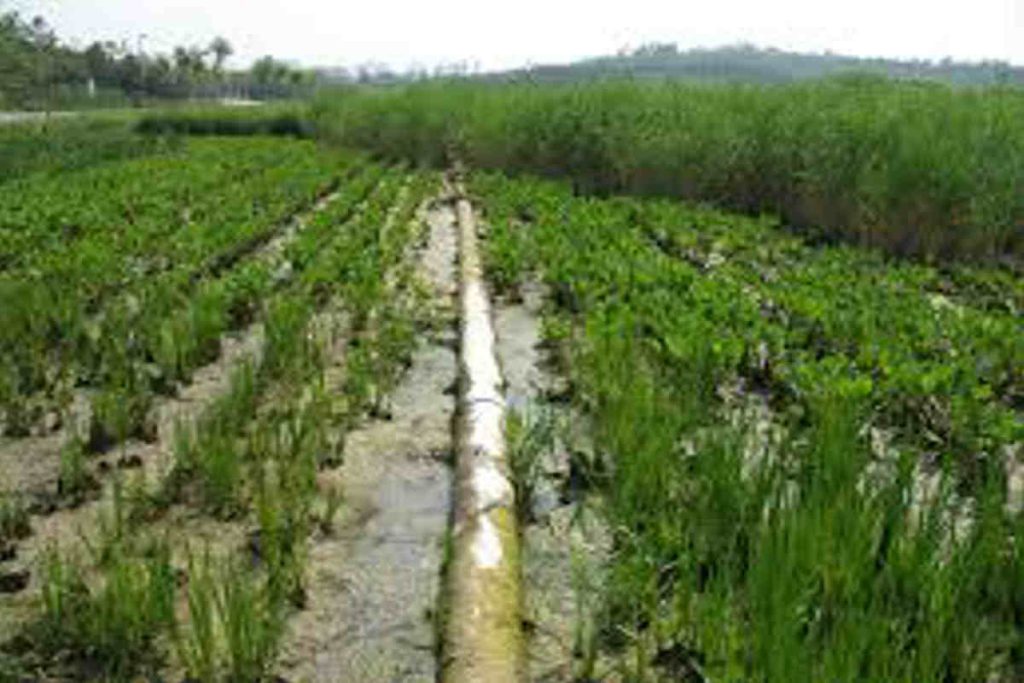 Environmental organisation India Earth5R sustainability waste management river cleaning CSR ESG9 Smart Technologies That Turn Sewage into a Climate Solution: Earth5R Sustainability Review