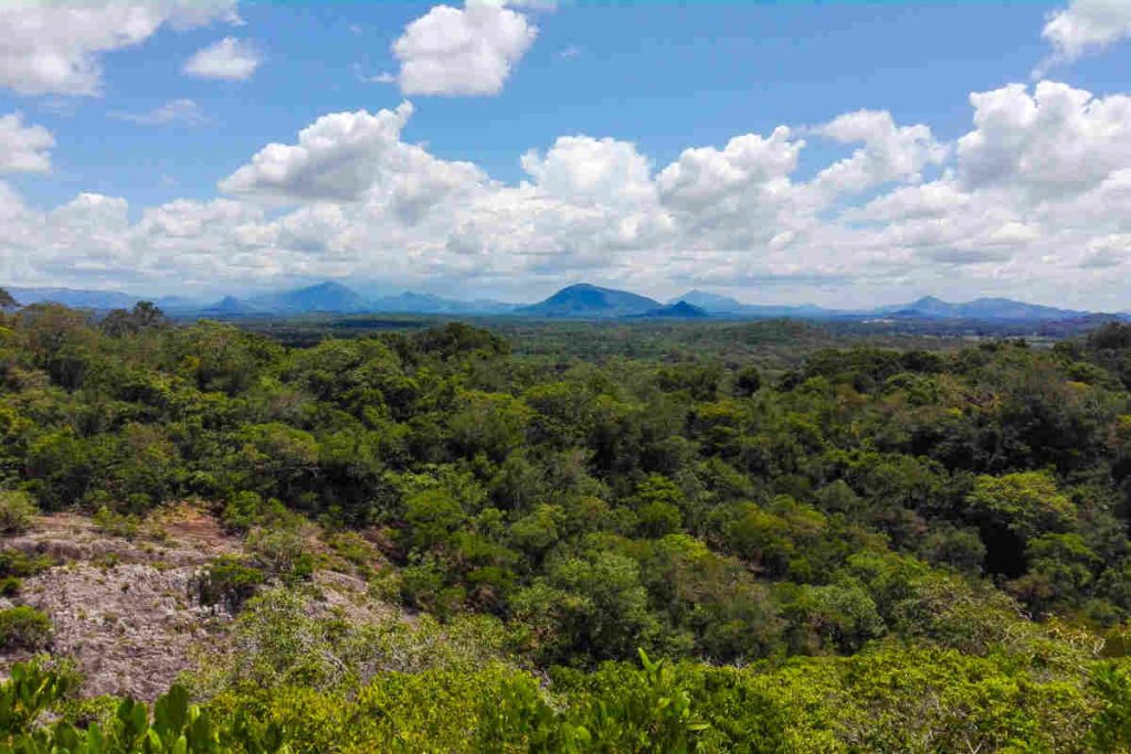 Environmental organisation India Earth5R sustainability waste management river cleaning CSR ESGWhy ESG Ratings Must Include Real-Time Waste and Water Data: Earth5R Systems Framework