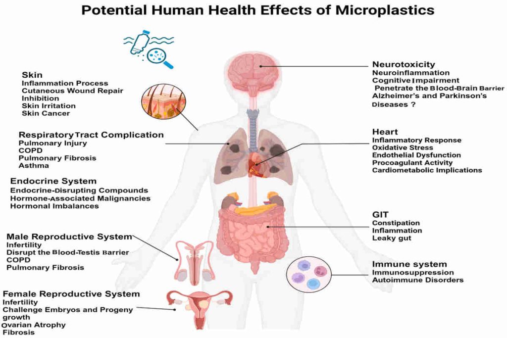 Earth5R-Environmental-NGO-India-Sustainability-ESG-CSR-6 River Cleanup Case Studies That Changed Entire Cities: Earth5R Impact Analysis