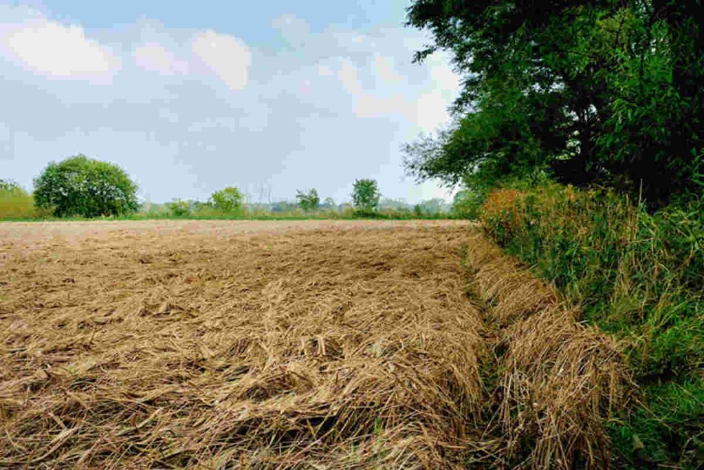 Environmental organisation India Earth5R sustainability waste management river cleaning CSR ESGWhy the World’s Most Polluted Rivers Are Also the Most Profitable Opportunities