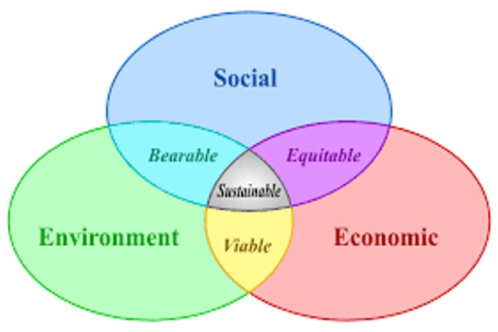Environmental organisation India Earth5R sustainability waste management river cleaning CSR ESG The Invisible Cost of Dirty Rivers on Urban Real Estate: An Earth5R Urban Policy View8 Filtration Breakthroughs Reshaping Water Access in Rural India: Earth5R Innovation Review
