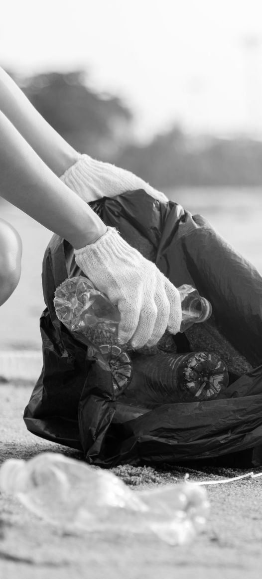 Beach Cleanup