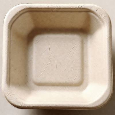 Bagasse and bamboo natural fibre packaging — plant-based composites for foodservice and cosmetics