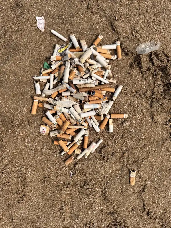 Cigarette butts collected during an Earth5R beach cleanup at Juhu, kept out of the marine food chain in Mumbai
