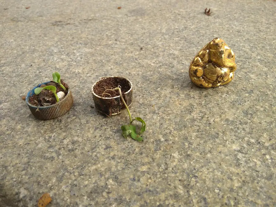 Bottle caps with saplings growing in them and a small idol recovered during a Powai Lake cleanup, Earth5R CSR programme