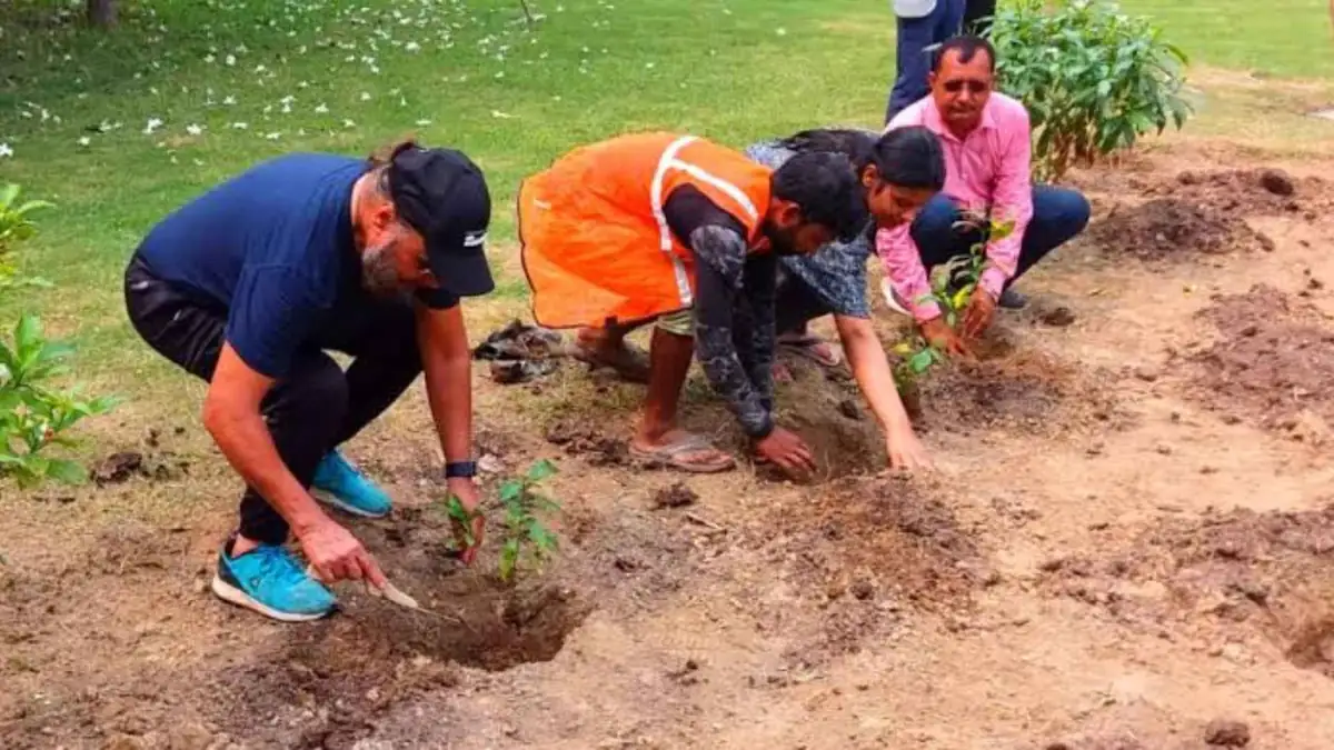 Volunteers kneeling to plant saplings in freshly dug soil in a park