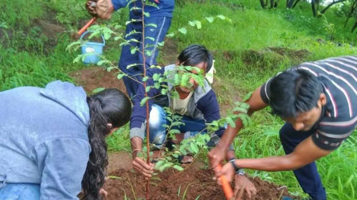 Volunteers digging and planting a sapling on a grassy slope