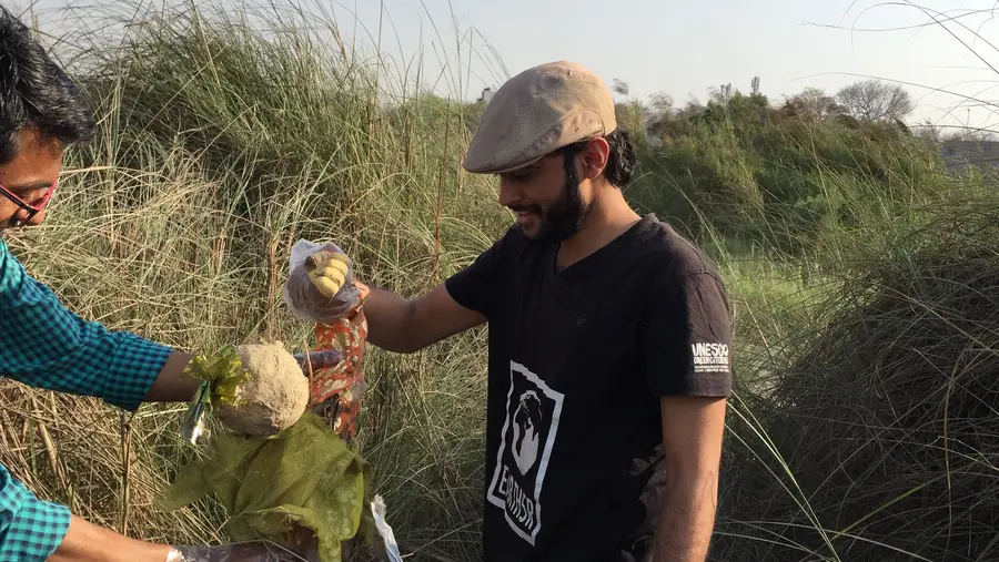 Earth5R volunteer pulling waste from the reeds on the Yamuna riverbank in Delhi