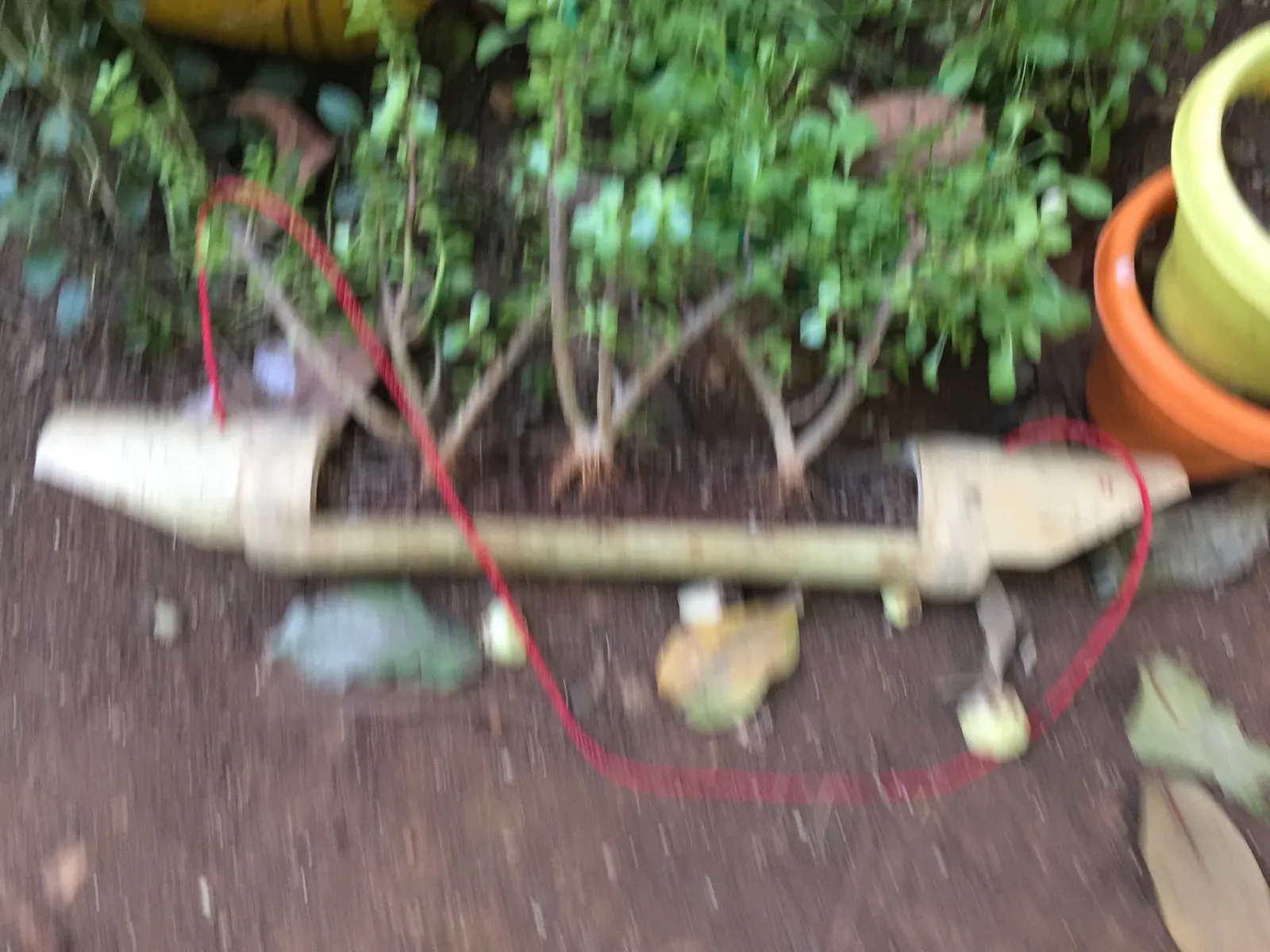 Sapling watered by a recycled plastic bottle drip irrigator