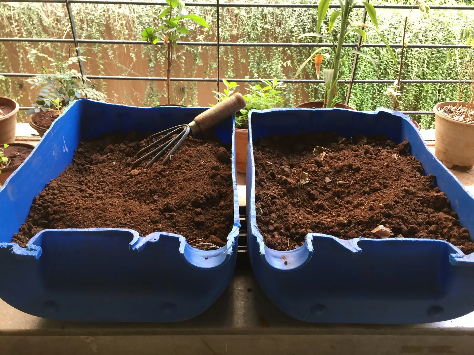 Two blue compost bins filled with finished compost and soil