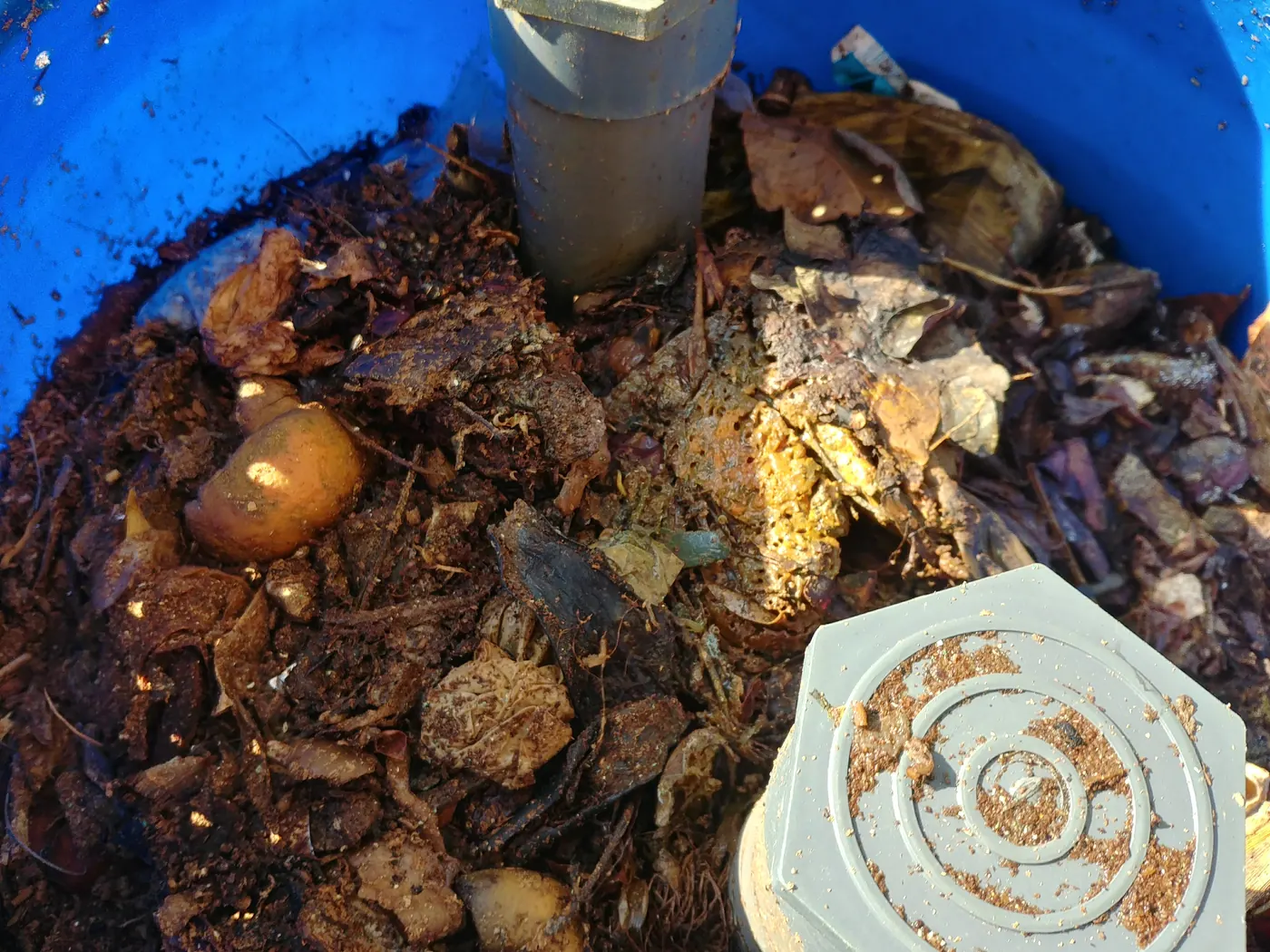 Close-up of a blue compost bin packed with decomposing vegetable peels and dry leaves, with its lid and aerator lying beside it