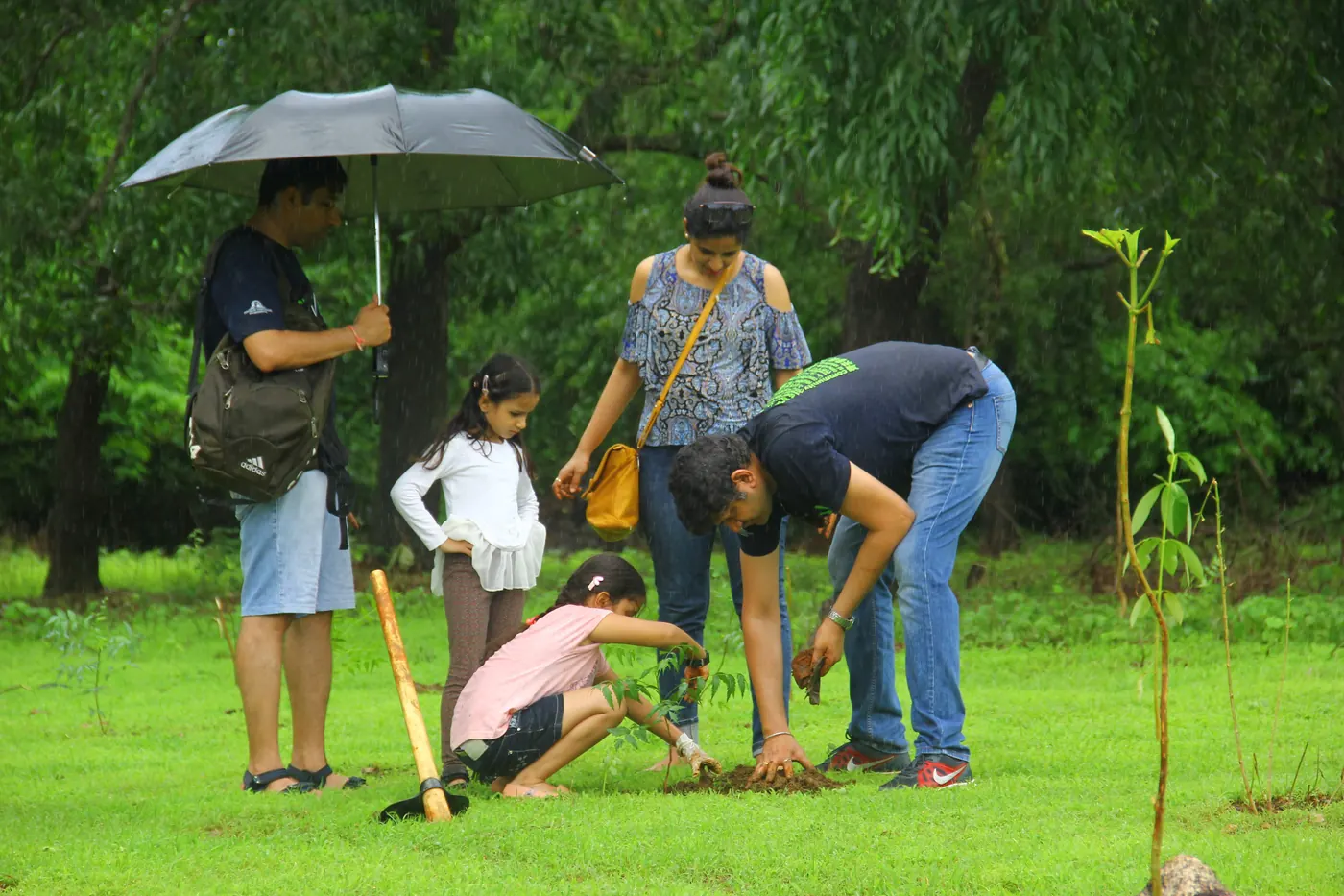 A family and Earth5R volunteers planting a staked sapling in the rain on a green field, one adult holding an umbrella over the group