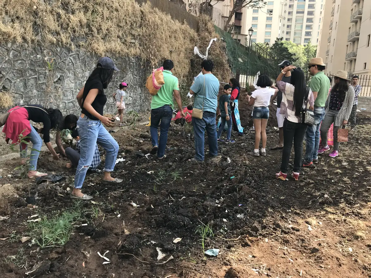 Volunteers and families clearing and planting a strip of bare earth below a hillside stone wall, with apartment towers behind, 2019