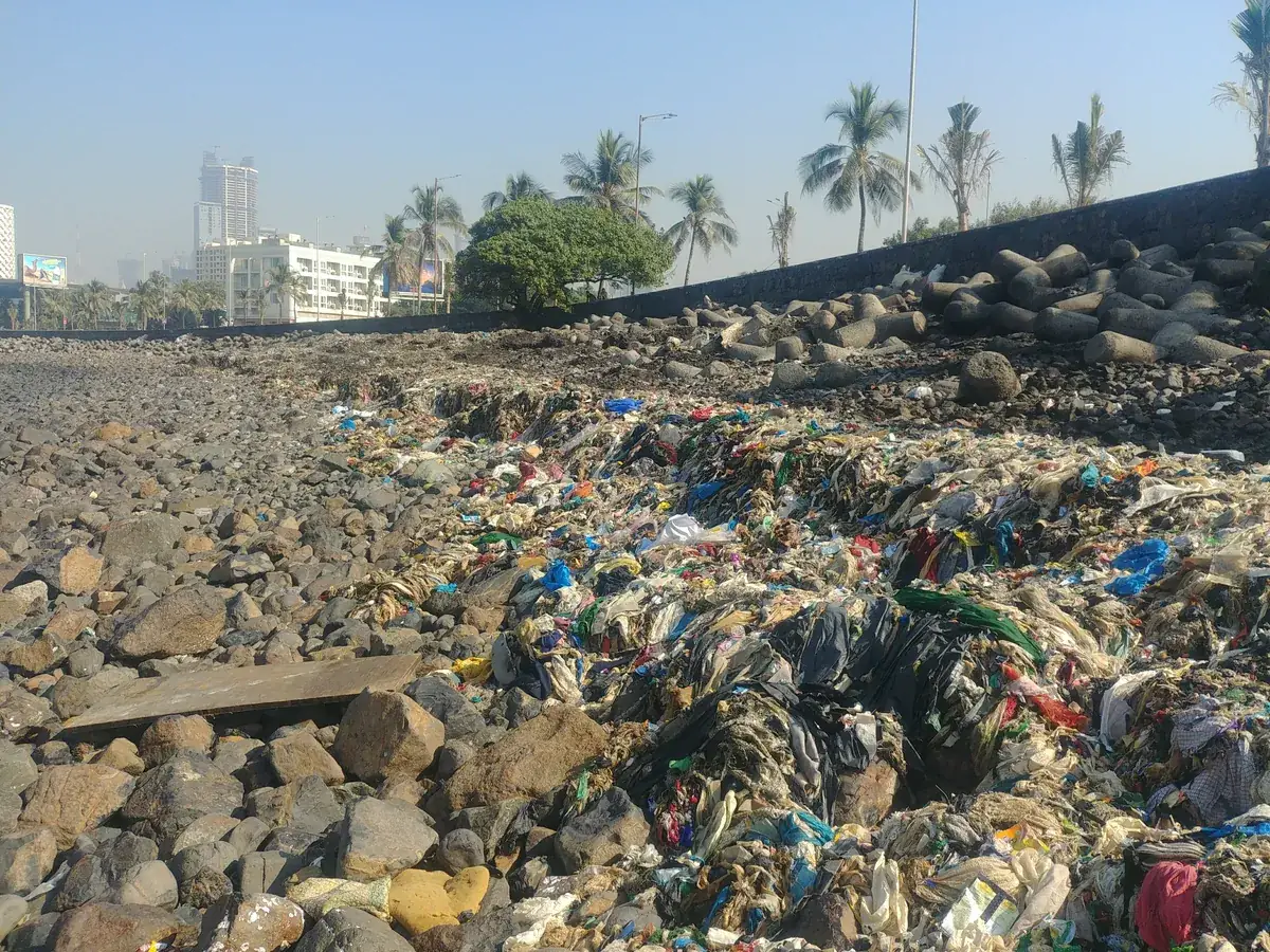 A rocky city shoreline covered in mixed waste, with plastic, cloth and debris among the stones and tall buildings on the horizon, 2018
