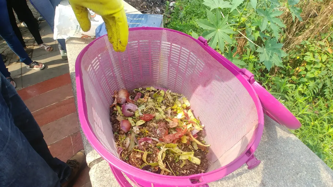 Looking down into a pink perforated compost basket half full of flower petals, peels and other organic waste, with a gloved hand above it
