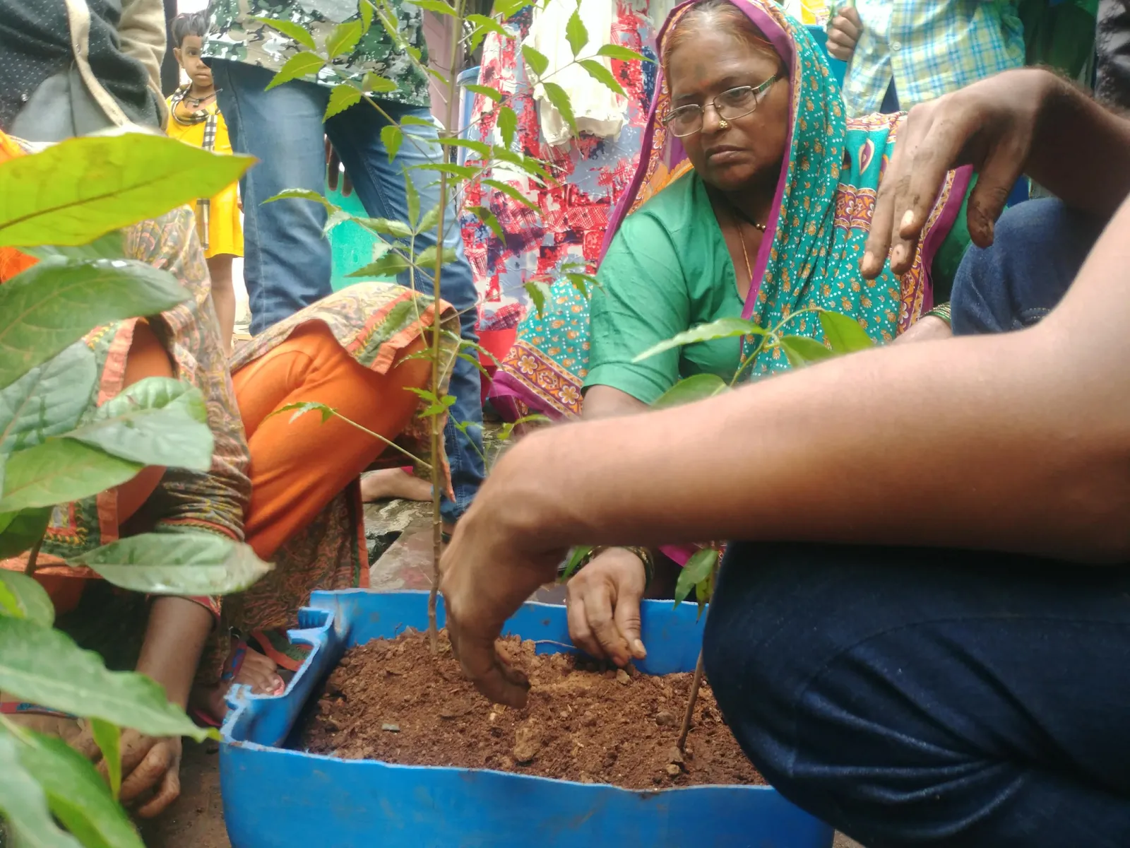 Agriculture internship field work. Woman and Earth5R volunteers mixing compost into blue crates of plants in Mumbai
