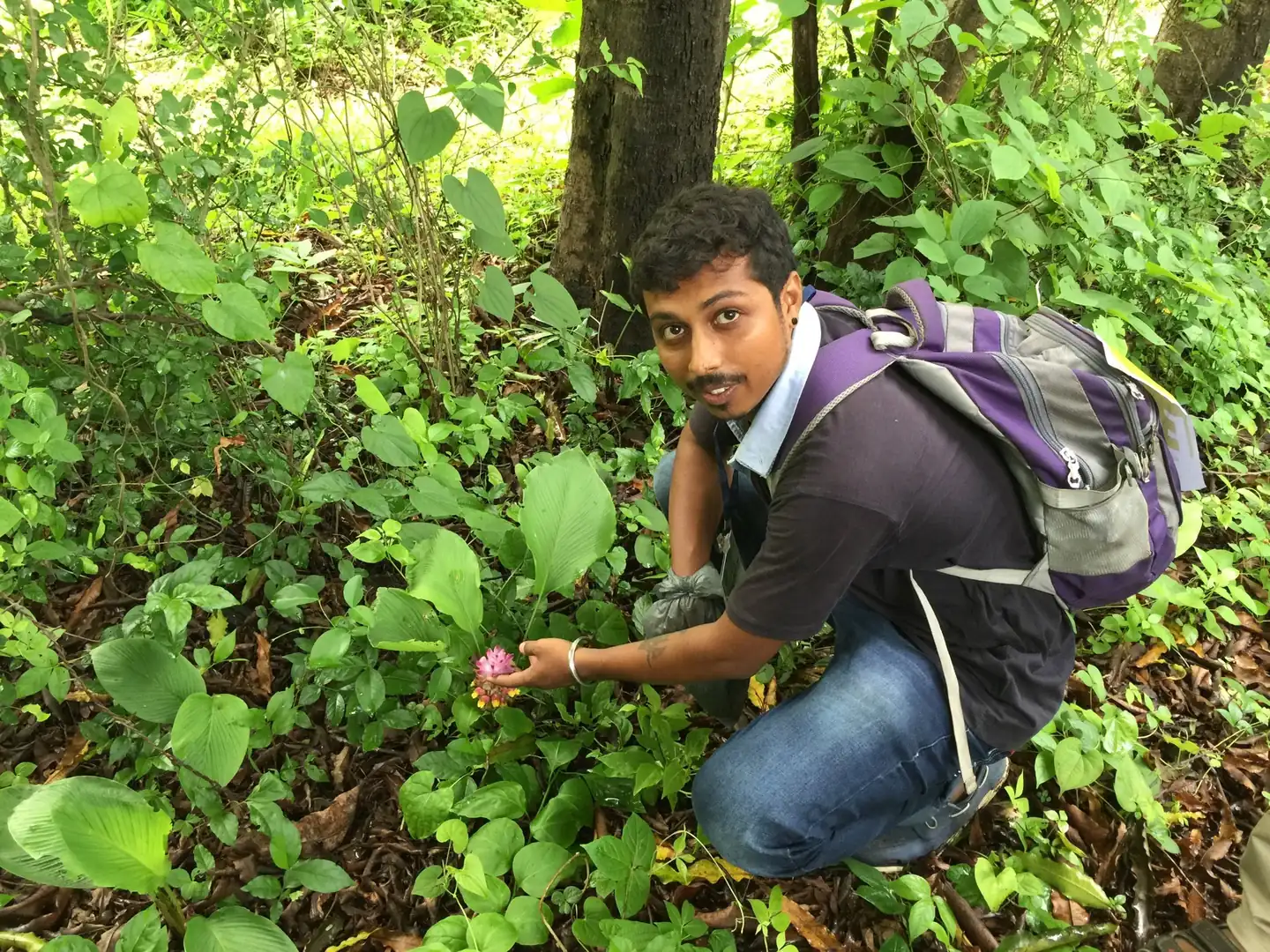 Biology internship field work. Earth5R volunteer crouching in dense undergrowth to look at plants during a biodiversity nature walk in Sanjay Gandhi National Park, Borivali, Mumbai