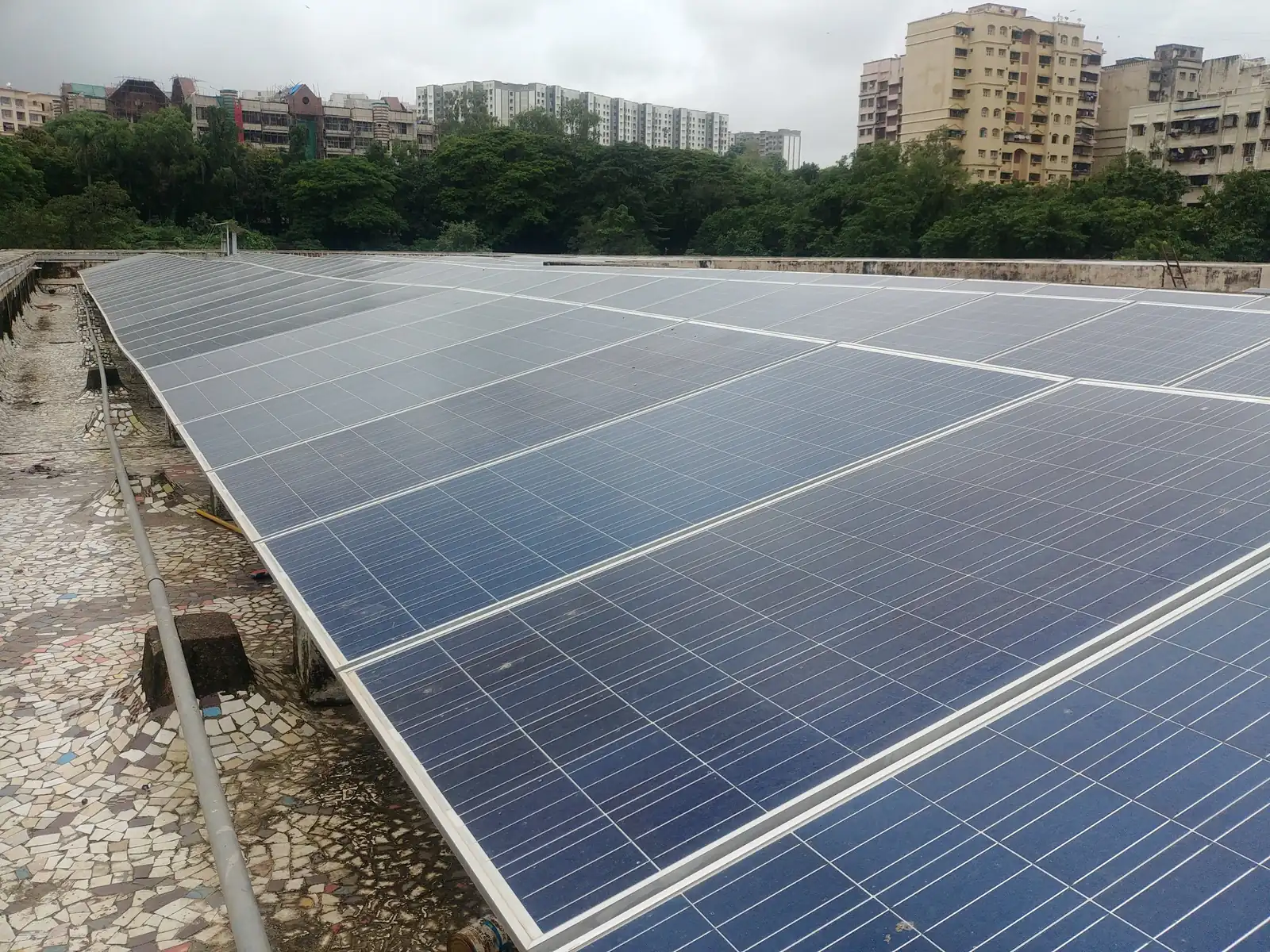 Architecture internship field work. Rows of rooftop solar panels with residential towers behind